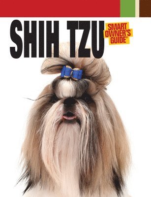 Shih Tzu 1