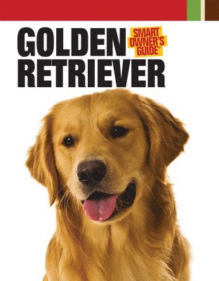 Golden Retriever 1