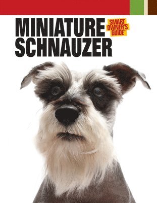 Miniature Schnauzer 1