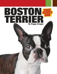 bokomslag Boston Terrier