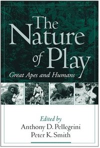 bokomslag The Nature of Play
