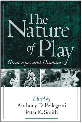 bokomslag The Nature of Play