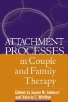 bokomslag Attachment Processes in Couple and Family Therapy