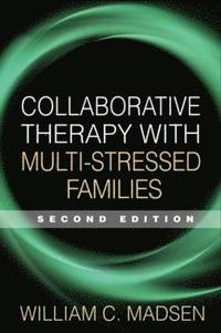 bokomslag Collaborative Therapy with Multi-Stressed Families, Second Edition