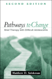 bokomslag Pathways to Change