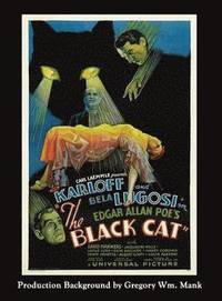bokomslag The Black Cat (hardback)