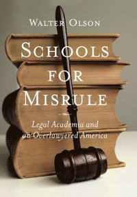 bokomslag Schools for Misrule