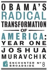 bokomslag Obama's Radical Transformation of America: Year One