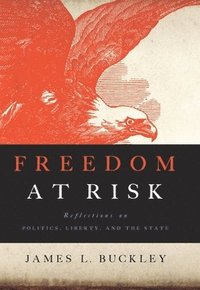bokomslag Freedom at Risk