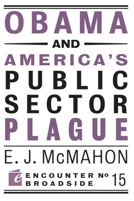 Obama and America's Public Sector Plague 1