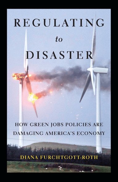 Diana Furchtgott-Roth - Regulating to Disaster, Inbunden