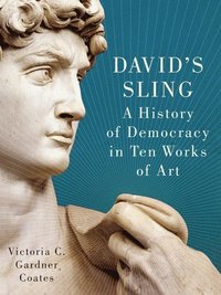 bokomslag David's Sling