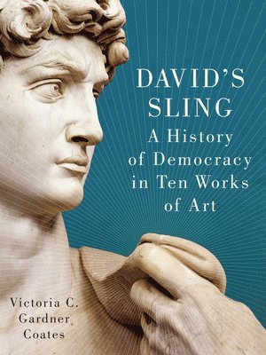 David's Sling 1