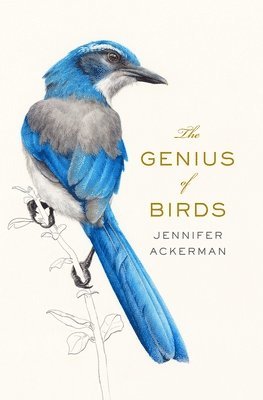 Jennifer Ackerman - The Genius of Birds, Inbunden