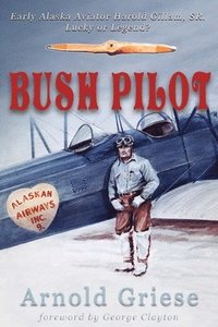 bokomslag Bush Pilot