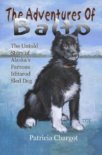bokomslag Adventures of Balto