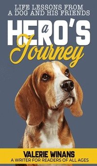 bokomslag Hero's Journey
