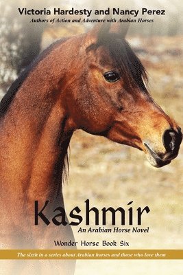 bokomslag Kashmir