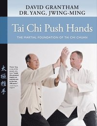 bokomslag Tai Chi Push Hands