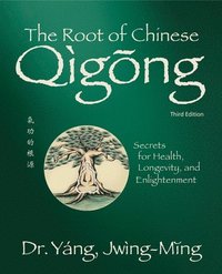 bokomslag The Root of Chinese Qigong