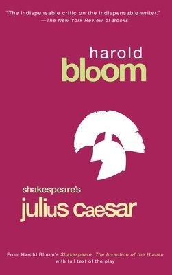 bokomslag Julius Caesar