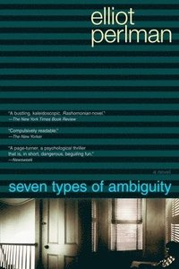 bokomslag Seven Types of Ambiguity