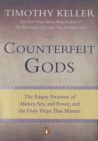 bokomslag Counterfeit Gods
