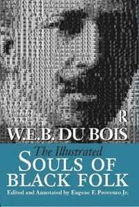 bokomslag Illustrated Souls of Black Folk