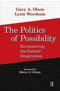 bokomslag Politics of Possibility