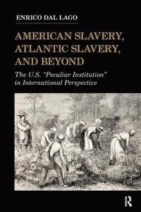 bokomslag American Slavery, Atlantic Slavery, and Beyond