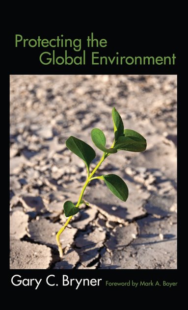 Gary C Bryner - Protecting the Global Environment, Inbunden