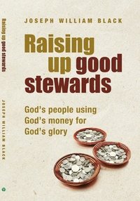 bokomslag Raising Up Good Stewards