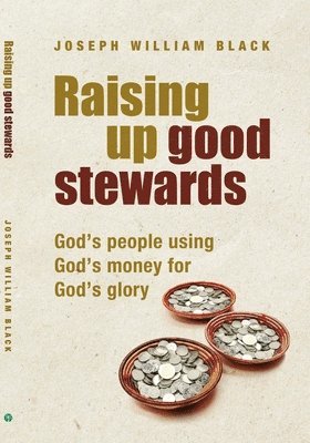 bokomslag Raising Up Good Stewards