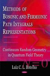 bokomslag Methods of Bosonic Path Integrals Representations