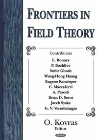 bokomslag Frontiers in Field Theory