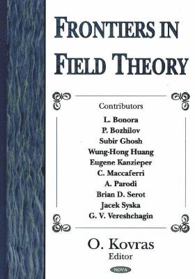 bokomslag Frontiers in Field Theory
