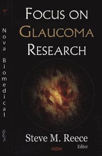 bokomslag Focus on Glaucoma Research