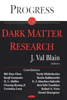 bokomslag Progress in Dark Matter Research