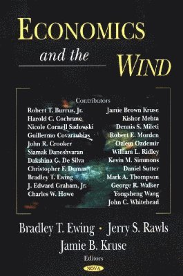 bokomslag Economics & the Wind