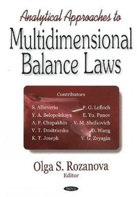 bokomslag Analytical Approaches to Multidimensional Balance Laws