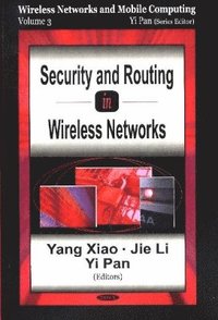 bokomslag Security & Routing in Wireless Networks