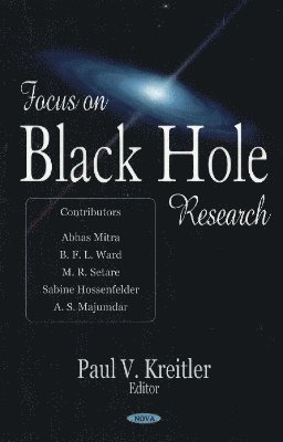 bokomslag Focus on Black Hole Research