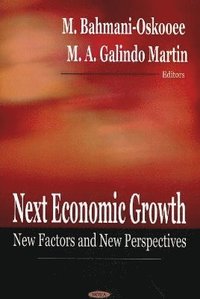 bokomslag Next Economic Growth