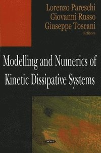 bokomslag Modelling & Numerics of Kinetic Dissipative Systems