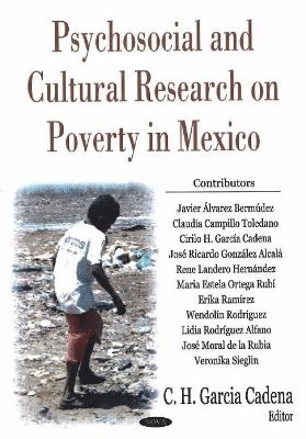 bokomslag Psychosocial & Cultural Research on Poverty in Mexico