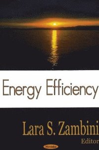 bokomslag Energy Efficiency