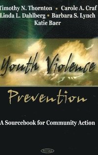 bokomslag Youth Violence Prevention
