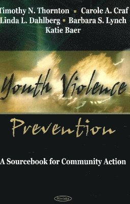 bokomslag Youth Violence Prevention