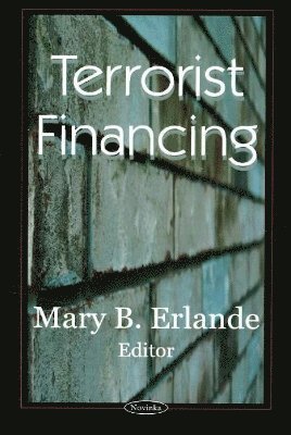 bokomslag Terrorist Financing