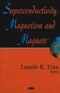 bokomslag Superconductivity, Magnetism & Magnets